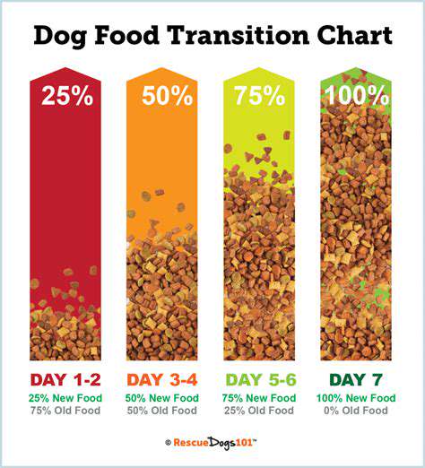 GradualTransition:IntroducingNewDietsSafely