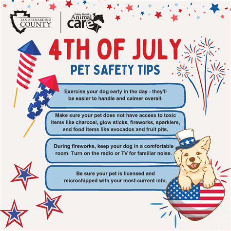 HiddenHazardsintheSparklingWaters:WhyPetSafetyisCrucial