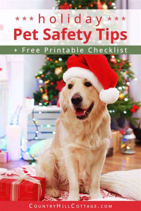Safe Holiday Treats for Pets