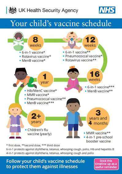 Vaccination Schedules for Dogs and Cats: A Complete Guide