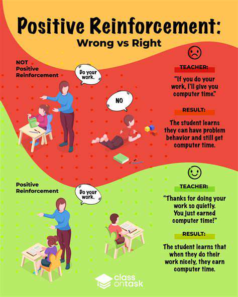 IntroducingDirectInteractionandPositiveReinforcement