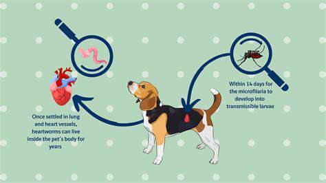 Heartworm Disease: Prevention, Diagnosis, and Treatment