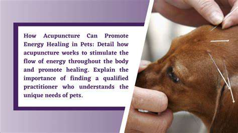 SafetyandConsiderationsforPetAcupuncture
