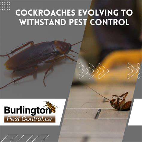 TheGrowingThreatofPestsinPetHomes