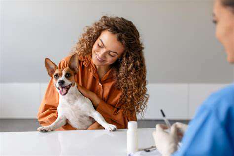 Rabies in Pets: Understanding the Dangers