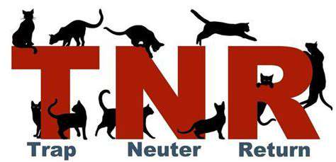 Community Cat Programs: Trap Neuter Return Benefits
