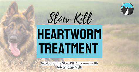 TreatmentOptionsforHeartwormDisease:AMultifacetedApproach