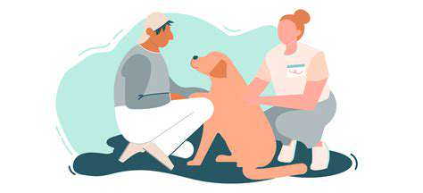 Understanding Pet Detoxification Methods