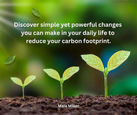 Eco Friendly Mental Wellness: Sustainable Choices for a Balanced Life